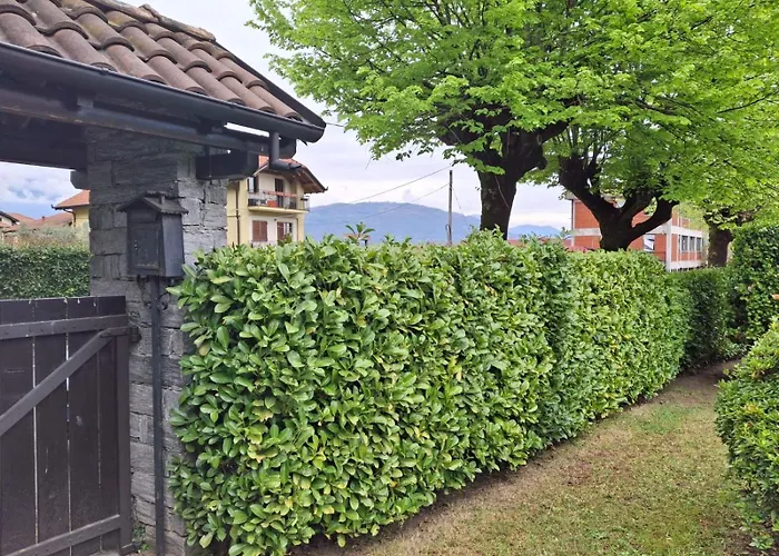 La casa di Arnika